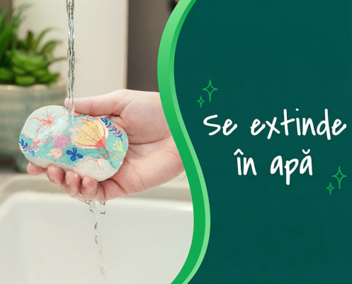 Bureti vase pop-up Scotch-Brite 3M, 3 bucati/pachet